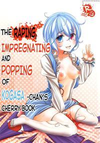 [yaburi Dokoro (hakano Shinshi)] Kogasa-chan No Shojo O Ubatte Haramase Mata Okasu Hon | The Raping, Impregnating And Popping Of Kogasa-chan's Cherry Book (touhou Project) [english] [digital] manga cover